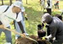 EcoLatinos celebró el Día de la Tierra plantando árboles