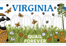 Lanzan campaña para una placa especial en Virginia