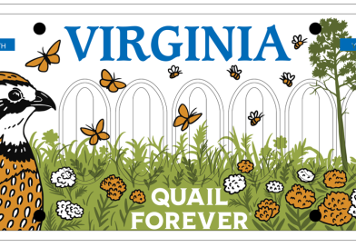 Lanzan campaña para una placa especial en Virginia